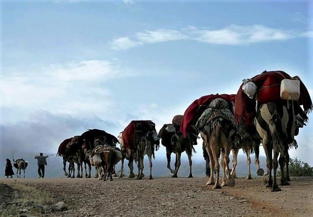 Anatolian Turkmen Nomads: Yörüks migrate from highlands to lower plains of Mediterranean for winter season.