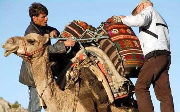 Uploading the handwoven sacks onto the came saddle