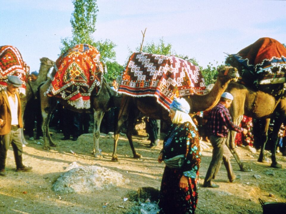 Anatolian Turkmen Nomads expose their weaving skills in during the migration. Çanakkale, Western Turkey, 1997