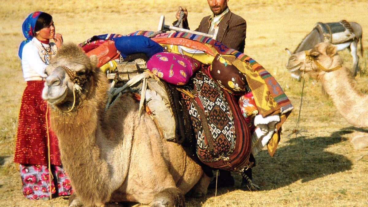 A father-daughter couple fixing the nomad bags onto a camel before migration, Kahramanmaraş, South-Eastern Turkey, 1980s, Photo courtesy Josephine Powell