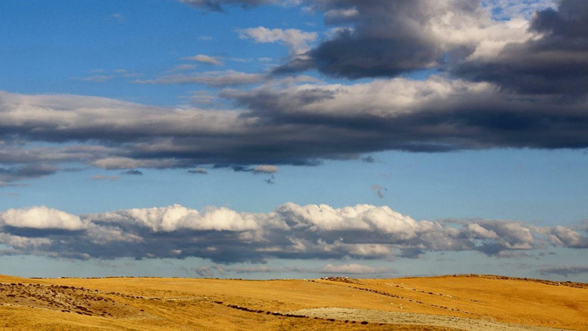 Nallihan plains, Ankara Turkey