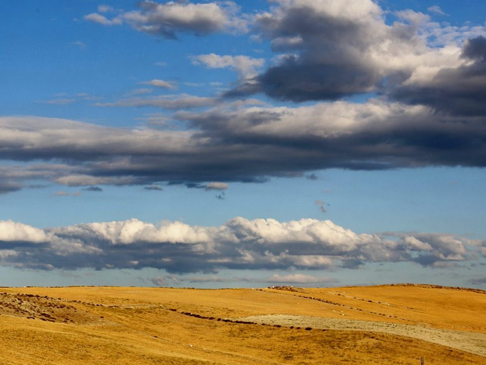 Nallihan plains, Ankara Turkey